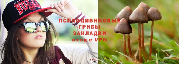 ГАЛЛЮЦИНОГЕННЫЕ ГРИБЫ Пролетарск