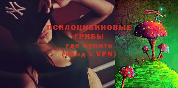 ГАЛЛЮЦИНОГЕННЫЕ ГРИБЫ Пролетарск