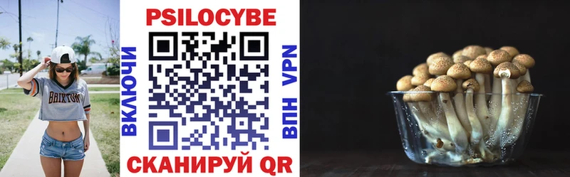 Купить где  Теберда  Псилоцибиновые грибы Magic Shrooms 